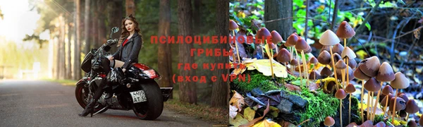 амф Алексин