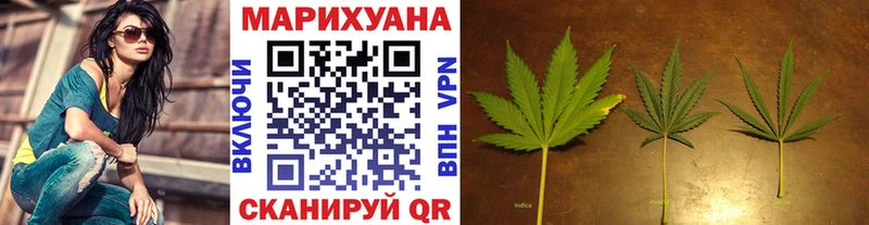 МАРИХУАНА SATIVA & INDICA  Димитровград 